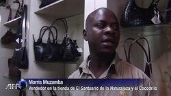 VOICED : La cria de cocodrilos nuevo negocio de Zimbabue News Clip