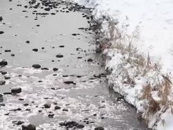 River surrounded with snow Stock Footage