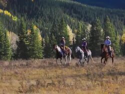 Cowboy and Cowgirls galloping on horseback through the mountain foothills Stock Footage
