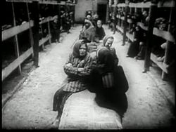 Jewish men and women fill concentration camps during World War II. Stock Footage