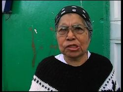 Polls open for presidential election News Clip