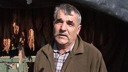 CLEAN: French tobacco farmers on edge as EU subsidies stubbed out News Clip