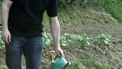 Social media aid to gardeners News Clip