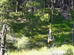 Young girl riding zip line across ravine upside down Stock Footage