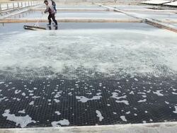 MS Shot of Saltern of Korea / Sinangun, Jeollanam-do, South Korea Stock Footage