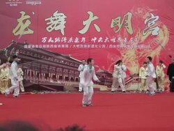 MS People showing skipping rope skill / xi'an, shaanxi, china Stock Footage