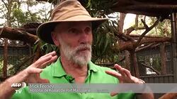 VOICED : Un hospital australiano para koalas enfermos News Clip