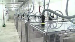 VOICED: Purificar flatulencias de ovejas News Clip