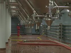 MS Worker working at fermentation tanks inside brewhouse  / Grafenhausen, Baden-Wuerttemberg, Germany Stock Footage