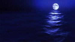 A blue full moon lights the night sky. Stock Footage