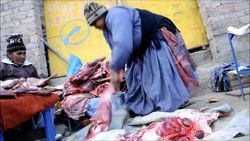 CLEAN : Llama meat a culinary hit in Bolivia News Clip