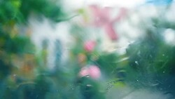 summer rain with small hailstones Stock Footage