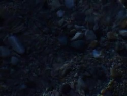 ocean water by night Stock Footage