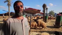 Lack of cash prevents shoppers from buying sacrificial animals News Clip