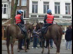 Belgium - Soccer Fan Stabbed In Chelsea Match Instructional Video