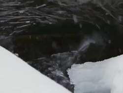  CU TD Freezing water flowing beneath sheet of ice covering river / Dundas, Ontario, Canada   Stock Footage