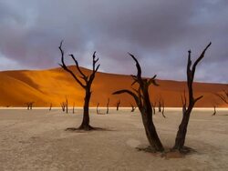 Deadvlei in Namib-Naukluft Park Stock Footage