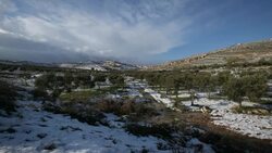 Judea Mountains with olive trees in winter snow,east to Jerusalem/ West bank, palestine Stock Footage