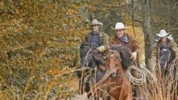 SLO MO TU Herdswoman riding galloping horse along two herdsmen Stock Footage