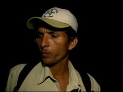 A new law helps protect engangered turtles News Clip