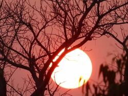 Sunrise Timelapse Stock Footage