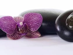 HD DOLLY: Honey Leaking Over Pebble Stones Stock Footage