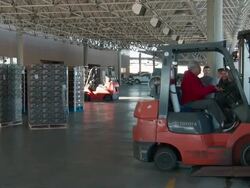 US Customs agricultural inspection Stock Footage