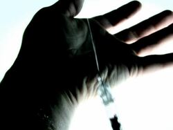 POISON NEEDLE Stock Footage