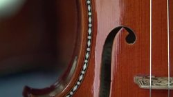 VOICED : Celebrated Portuguese luthiers face end of the line News Clip