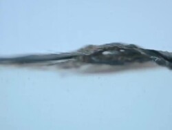 Flowing water background Stock Footage