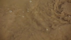 Puddle, mud, abstractions Stock Footage