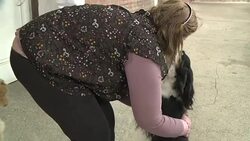 CLEAN : France: Dogs help treat mental health patients in hospital News Clip