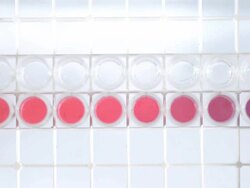 top view : adding colorful sample Stock Footage