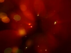 Defocused christmas lights Stock Footage