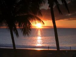 Paradise Stock Footage