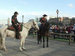 Atmosphere Stock Footage