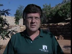 Endangered elephant finally pregnant News Clip