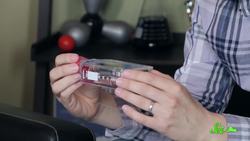 Dendritic Cells: Scishow Talk Show Instructional Video