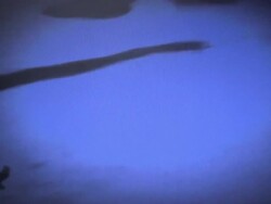 Sao Paulo Museum Of Football Stock Footage