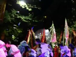 Chinese New Year Twilight Parade Stock Footage