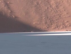 People walking, pull out to barren scene, Dead Vlei, Namib-Naukluft, Namibia Stock Footage