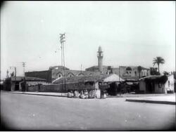 PALESTINE - WITH THE JEWISH FORCES (EXCLUSIVE PICTURES) News Clip