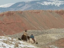 WS Cowgirl and cowboy on horseback walking down snowy scenic hilltop with dogs / Shell, Wyoming, United States Stock Footage