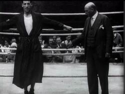 Harvey Hopeful Of His Third Chance News Clip