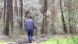 Man is walking on foot through the forest morning. Stock Footage