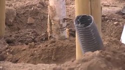 Tree Planting Ceremony for New Grammar School Build in Seveoaks News Clip