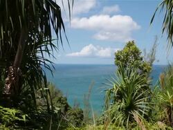 Kalalau Trail Landscape, Napali Coast State Park, Kauai, Hawaii Stock Footage