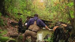 In the Pacific Northwest, contamination in rain runoff is killing salmon before they can spawn. Scientists are working on solutions, but to help the salmon, they first must sacrifice a few in an experiment. (Nov. 17) News Clip