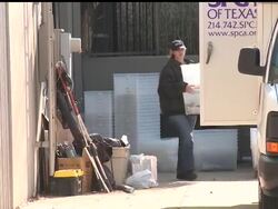 A raid at an Arlington, Texas warehouse complex where exotic animals were kept turned up hundreds of dead and starved creatures. The AP''s Rich Matthews has the story. News Clip
