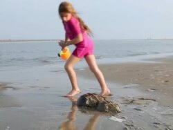 MS TU Shot of young girl pouring water on two horseshoe crabs on beach / St Simon's Island, Georgia, United States Stock Footage